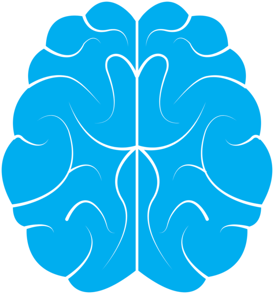 brain, icon, human-1710293.jpg